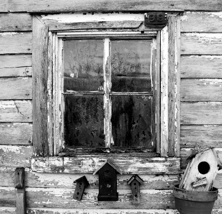 Weathered Window and Birdhouses