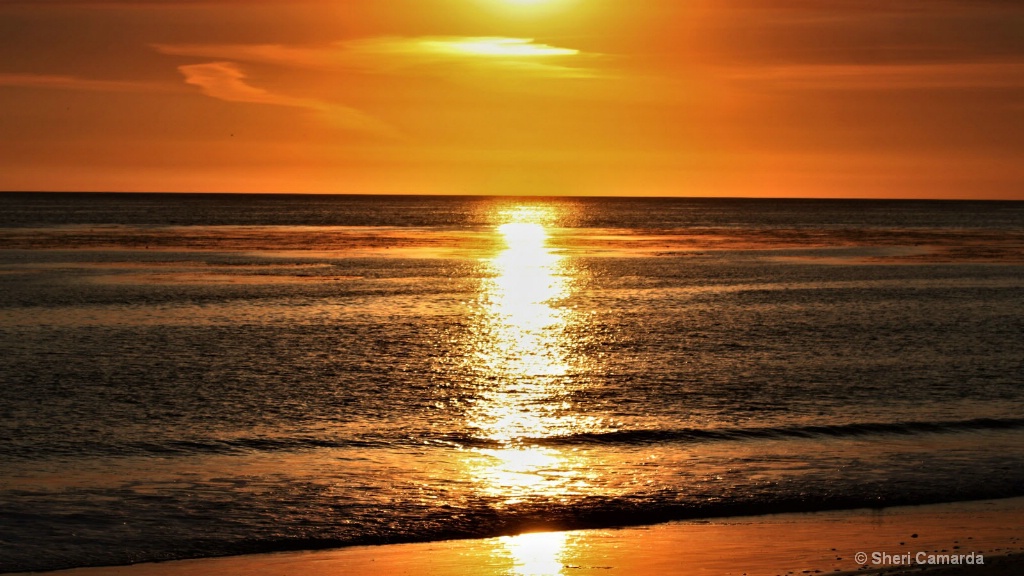 Sunset Reflection - ID: 15507073 © Sheri Camarda