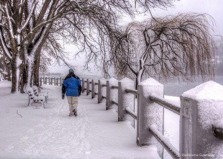 Walking-in-the-park