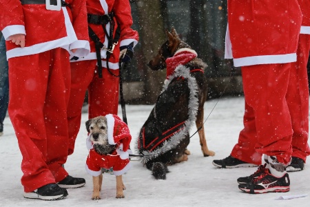 Down-to-Earth Santa