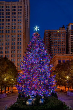 Chicago's Christmas Tree