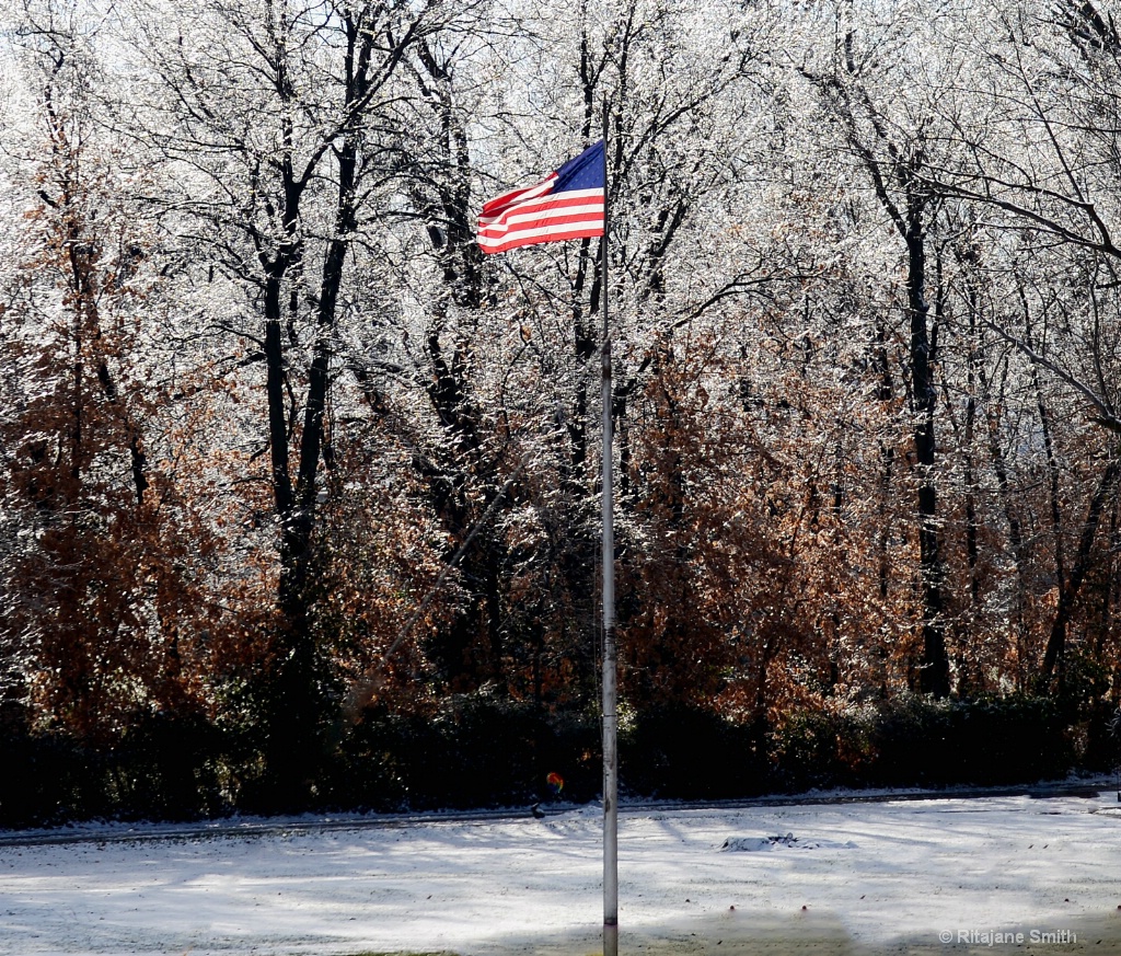 USA flag and ice 