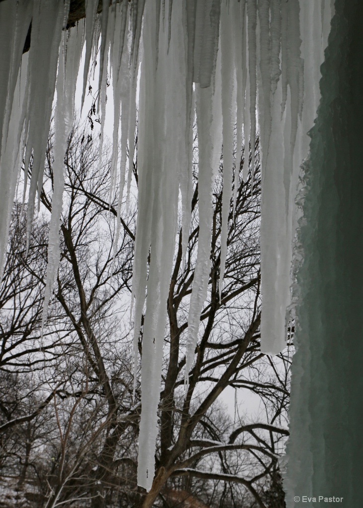 Waterfall Icicles