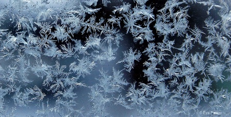 Frost on the Window