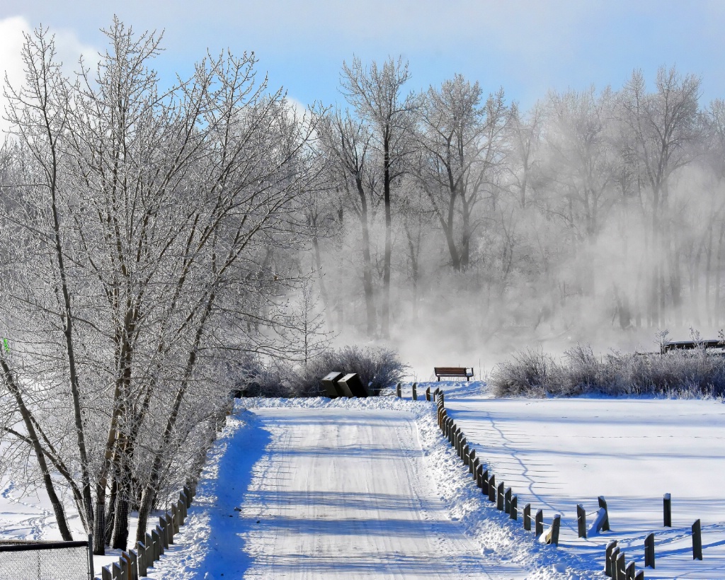 Road to the River