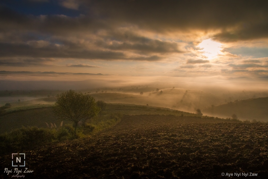 foggy morning