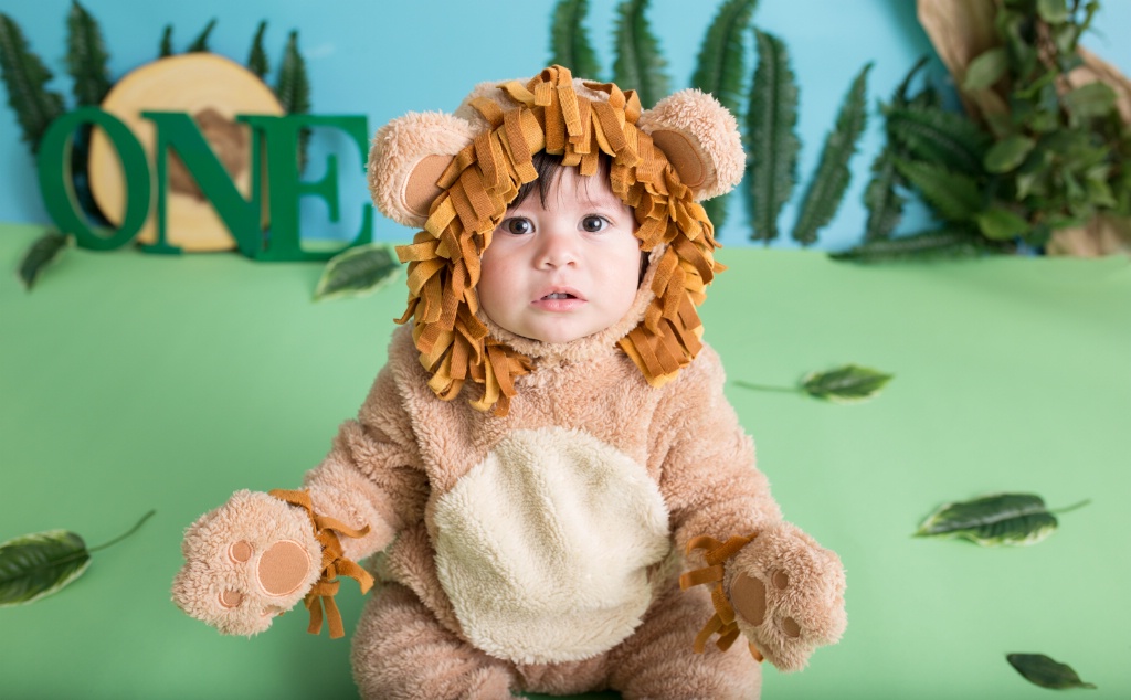 *Little Lion*