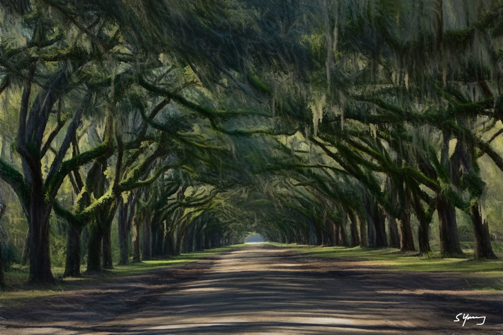 Oak Avenue; Wormsloe Plantation, Savannah, GA