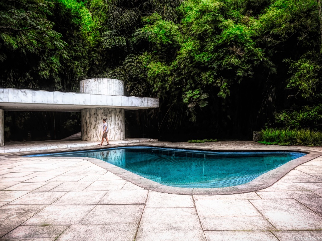 Burle Marx pool