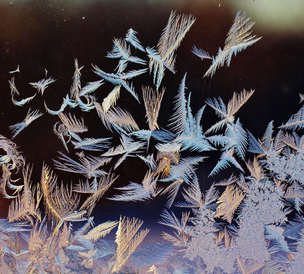 Bird Ice Crystals