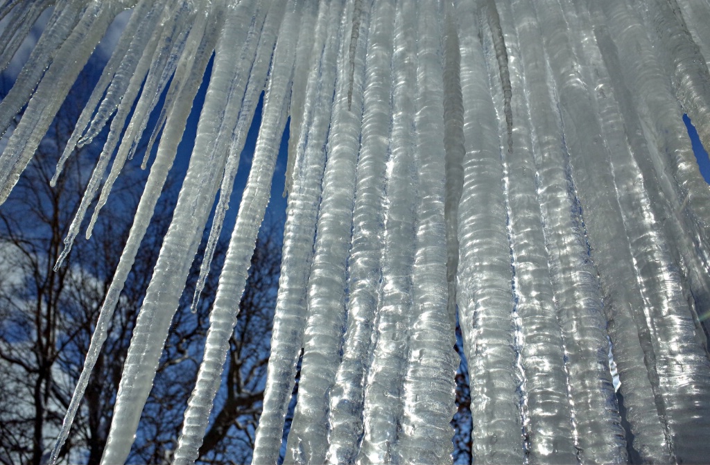December Icicles