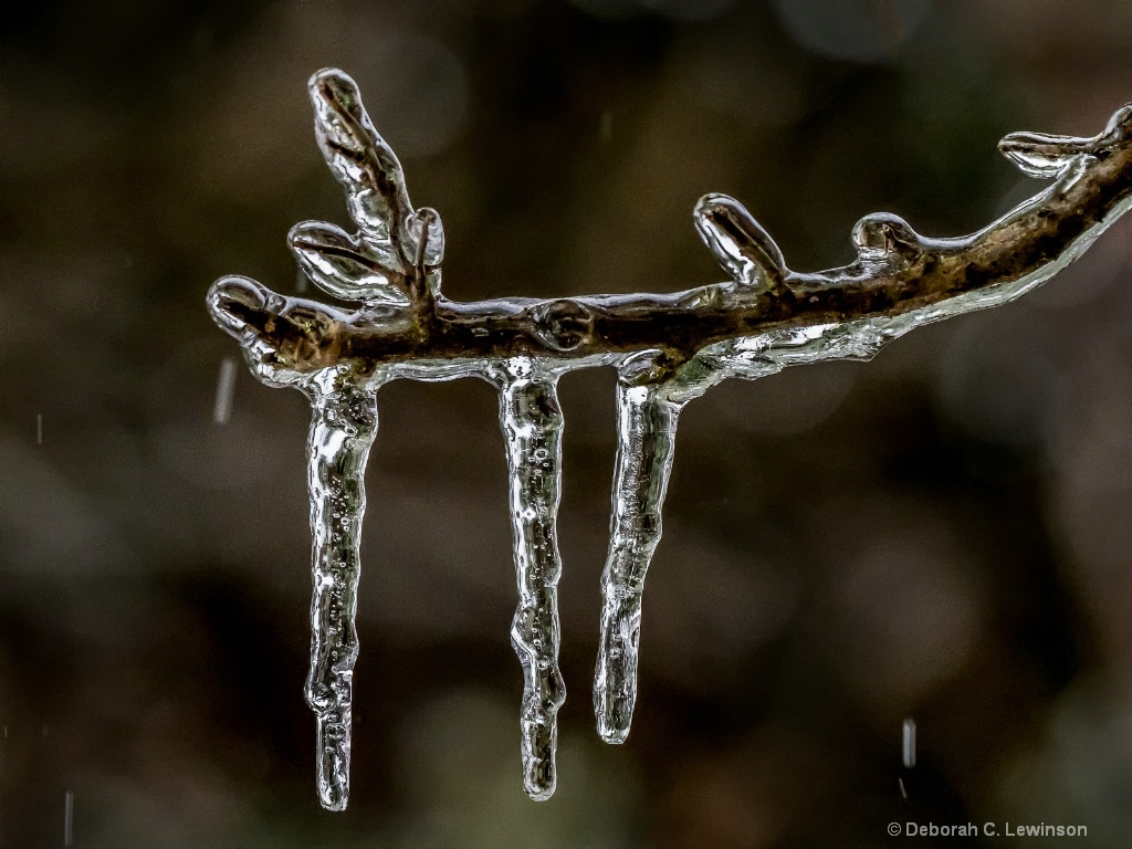 Ice Storm