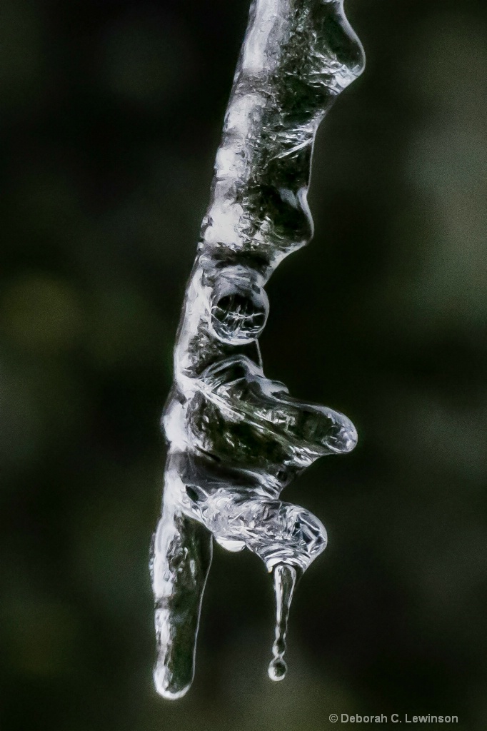 Interesting Icicle