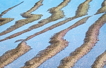 Ripples in the Sand    
