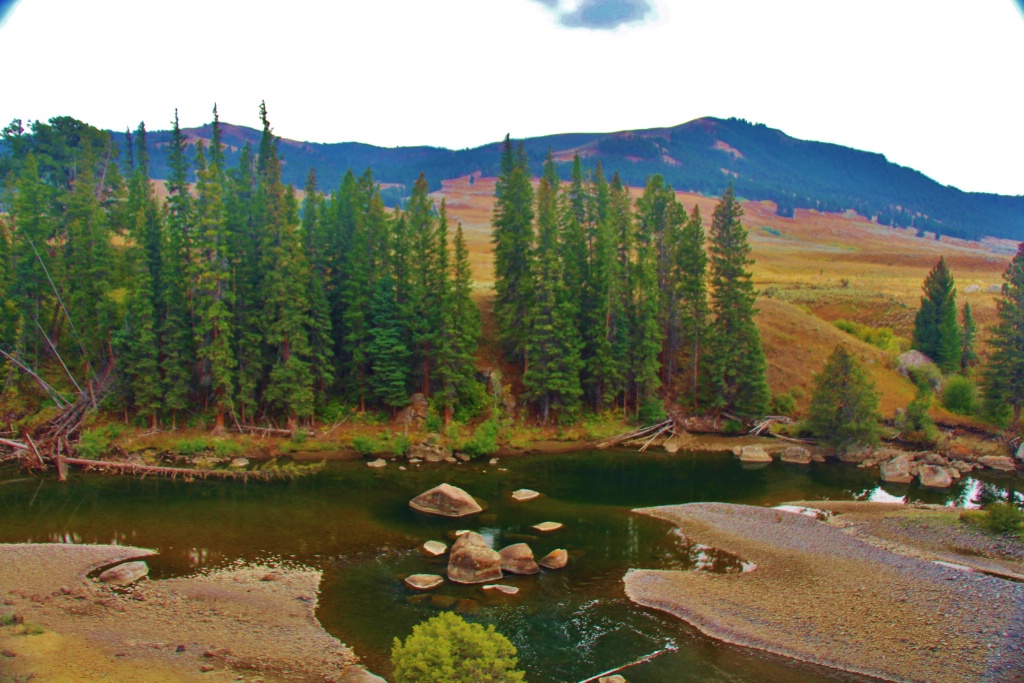 Upper Reach Yellowstone River