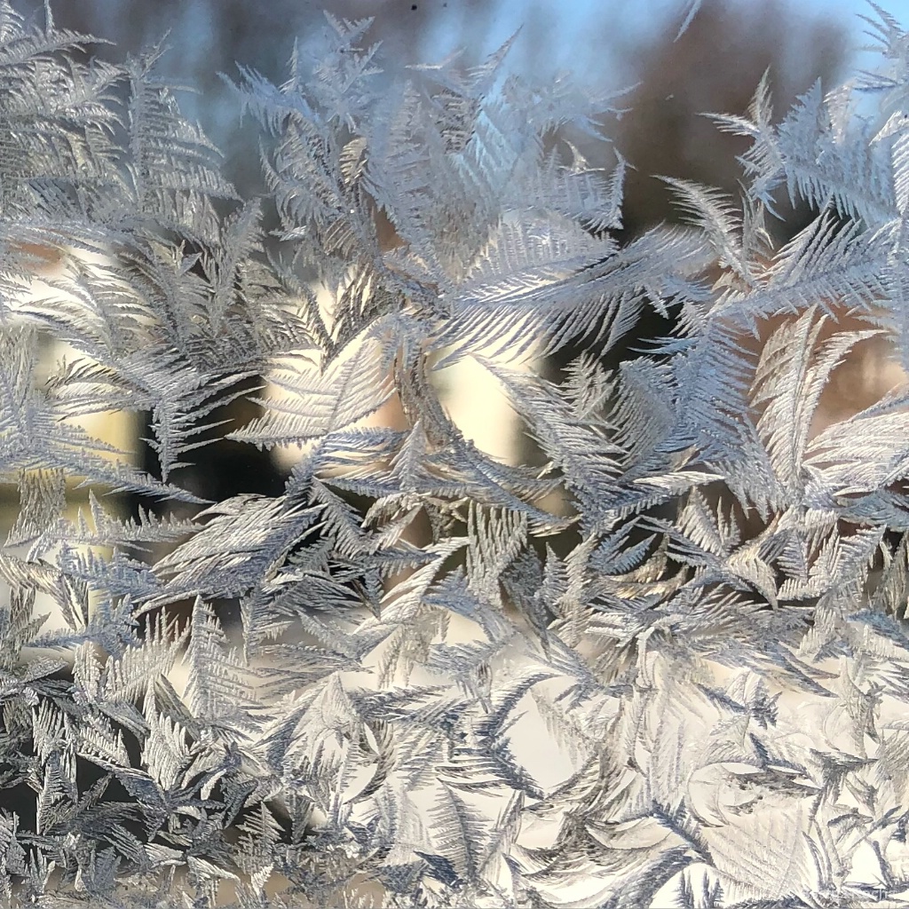 Plumes d’Hiver