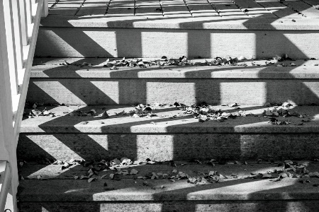 Shadows on The Stairs 