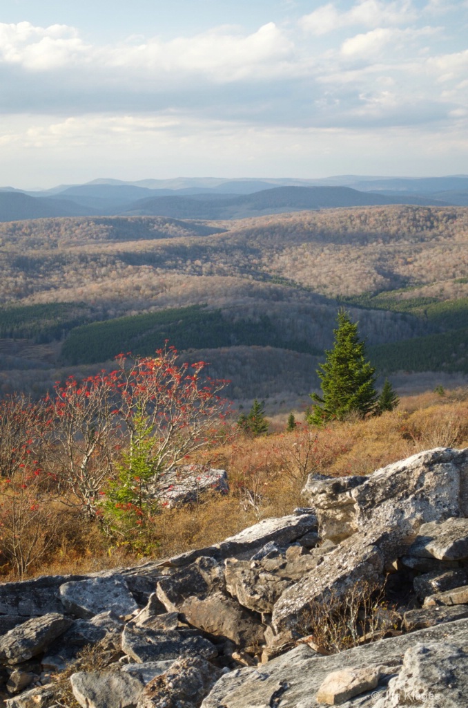 NW View From Spruce Knob - ID: 15511042 © Jim Klages