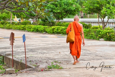 Buddhist Monk, Cambodia
