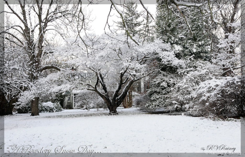 A Powdery Snow Day