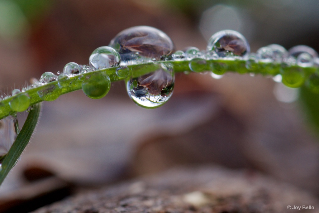 Water drop reflections