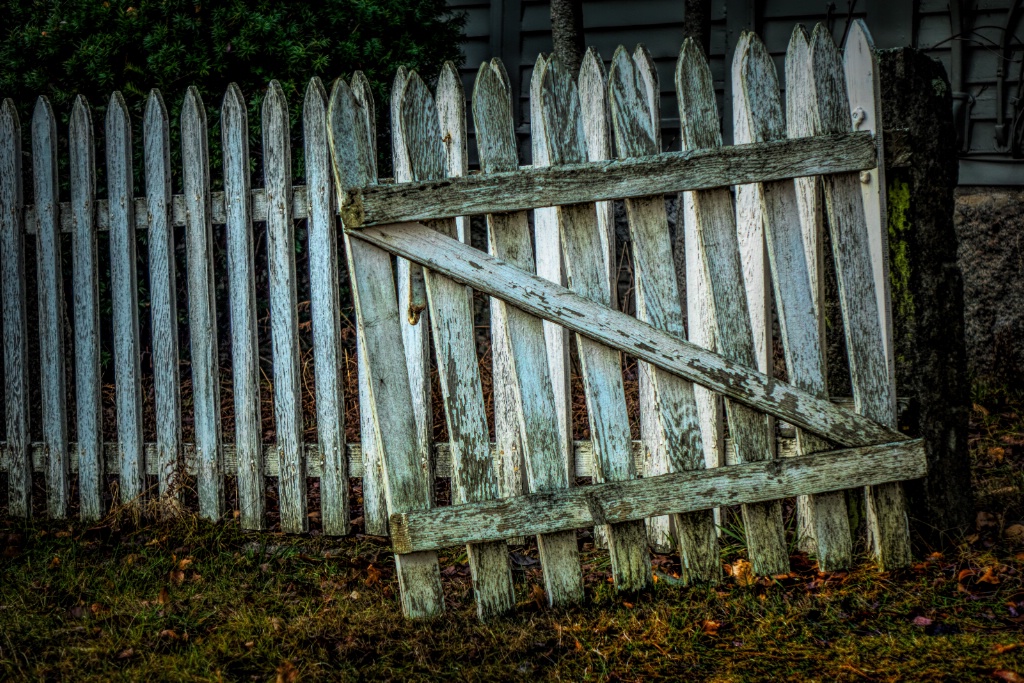 The Picket Fence