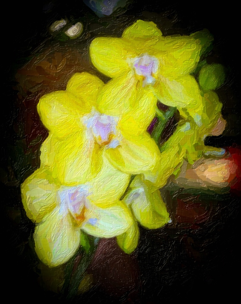 Yellow-Flowers