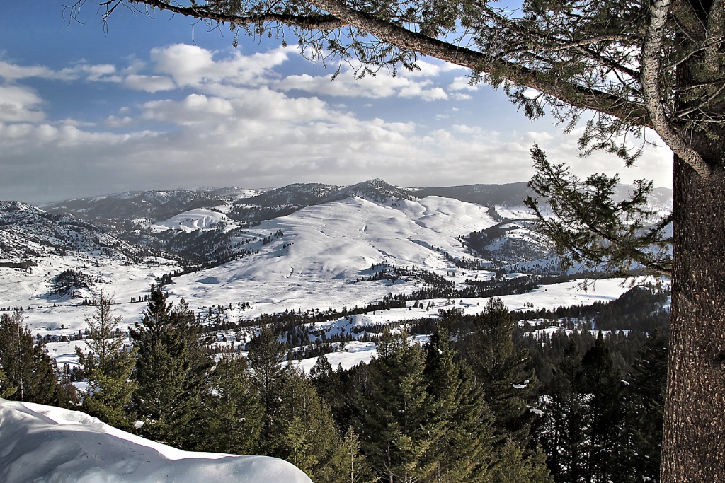 Expansive Yellowstone Winter