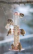 6 sparrows