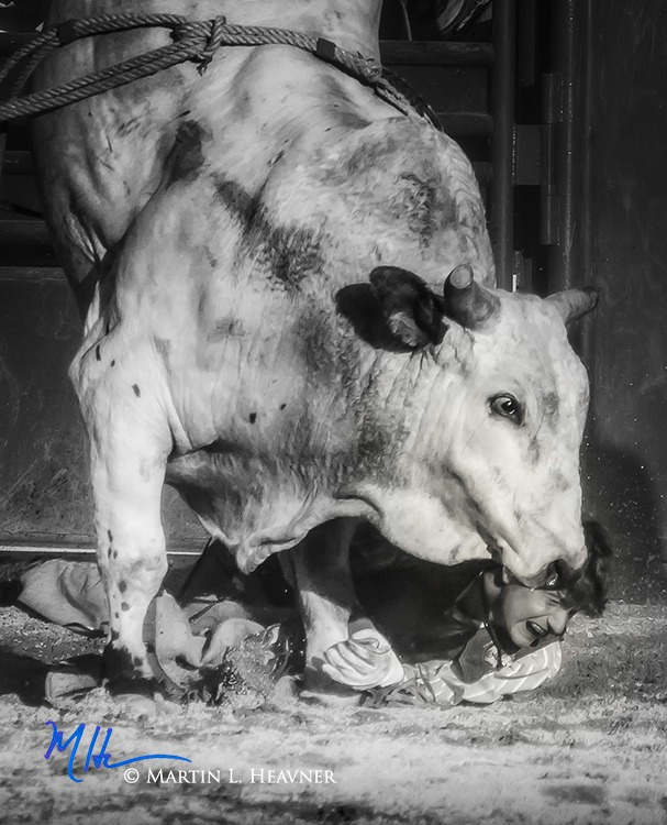 A Kiss is Just a Kiss - J Bar W Ranch Rodeo - ID: 15513638 © Martin L. Heavner