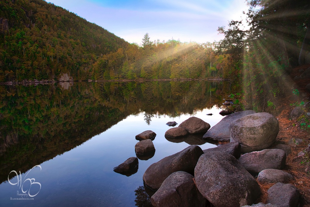 Light At Chapel Pond