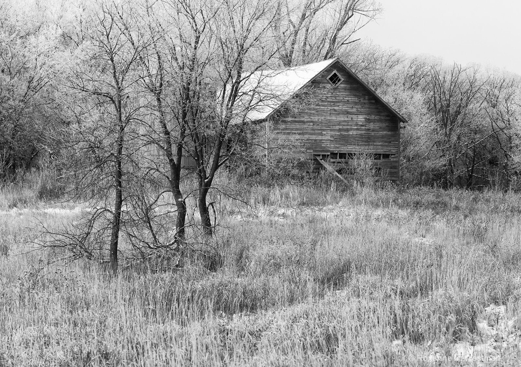 Treasure on a frosty day - ID: 15513947 © Roxanne M. Westman