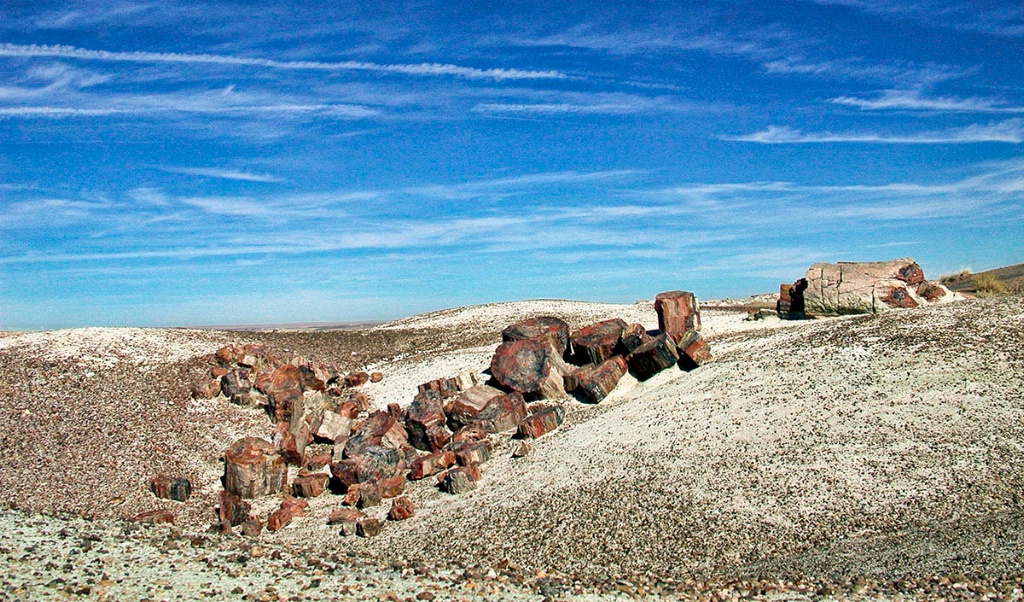 Exploring the Petrified Forest