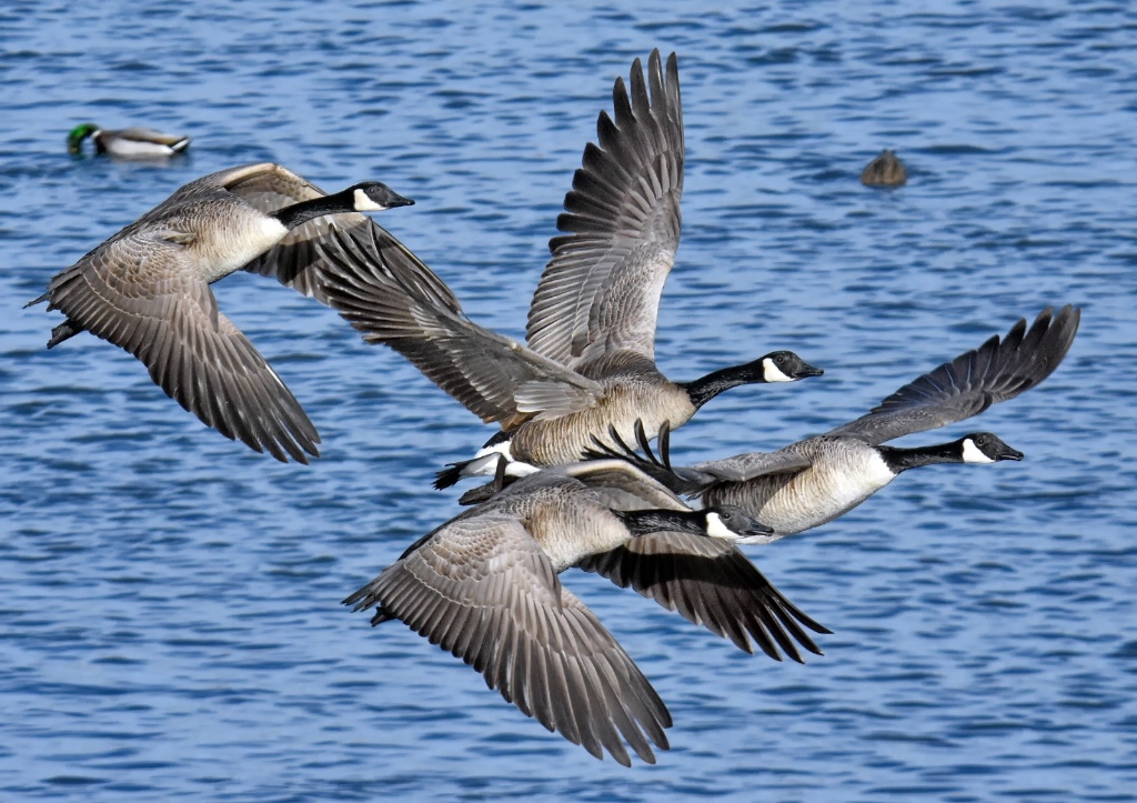 The Take-Off