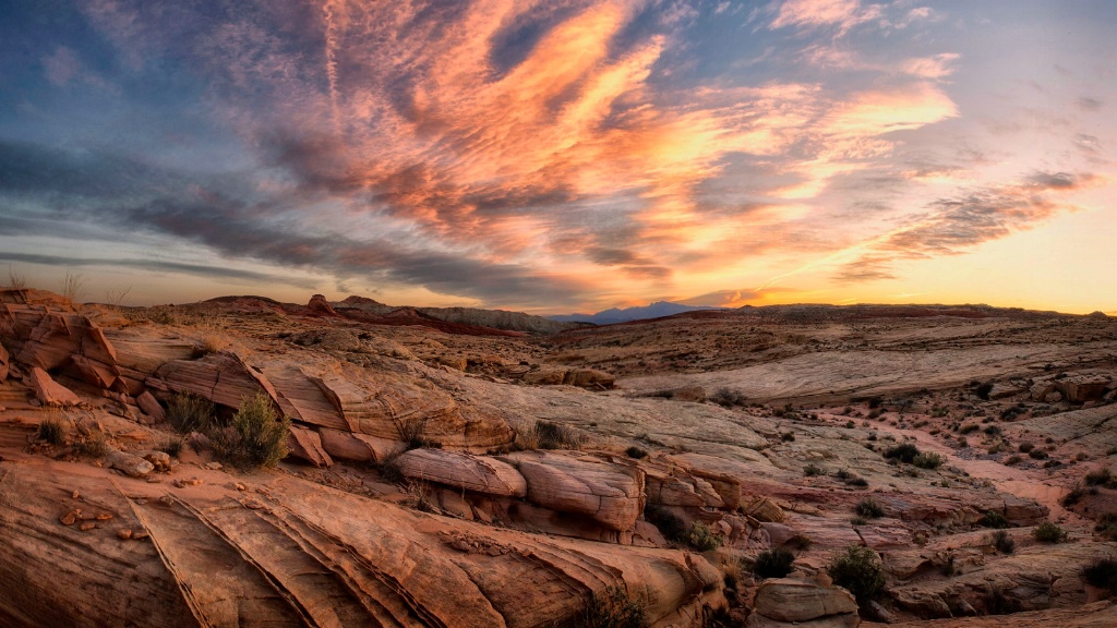 Desert Rocks