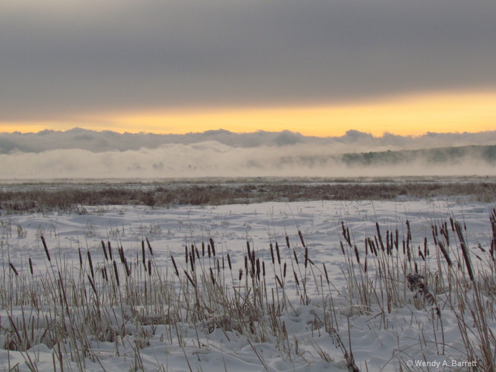 Marsh and Seasmoke - ID: 15516430 © Wendy A. Barrett