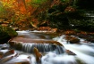 Ricketts Glen on ...