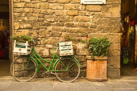 Firenze Bicycle