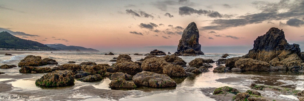 Low Tide Cannon Beach