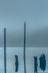 My Pole