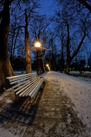 Bench In The Dark Park