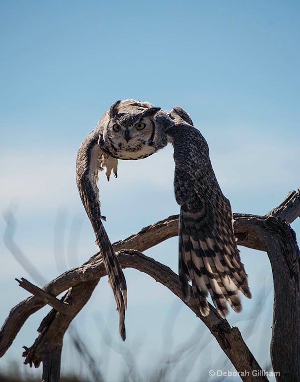 In Flight