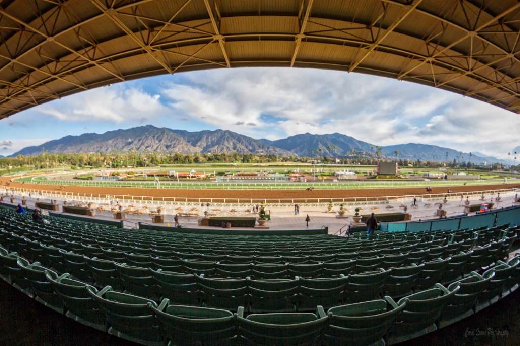 Early Morning at the Races