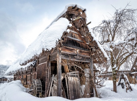 Old Farm Shed In Snow