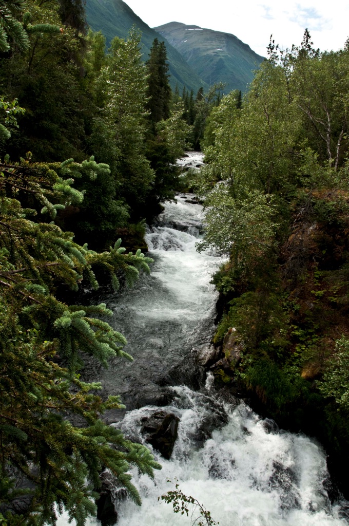 Alaskan Mountain Stream - ID: 15520568 © William S. Briggs