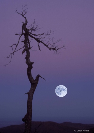 Moonrise in Shenandoah Park