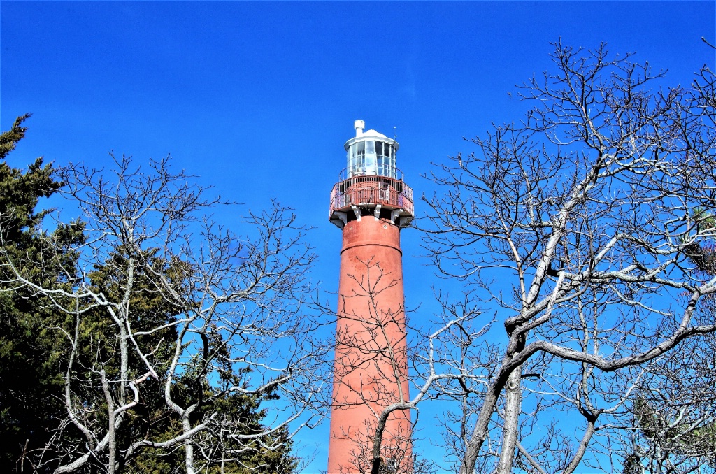 Barnegat Bay Lighthouse 