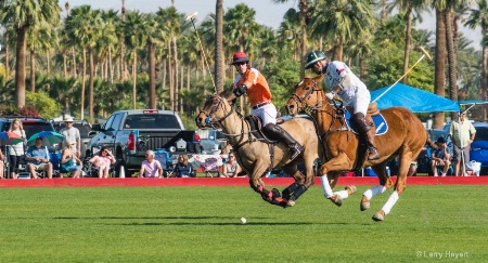 Polo # 3