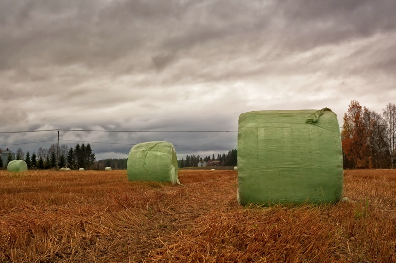 Hay Bales Wrapped In Plastic