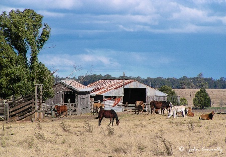 The Farmyard